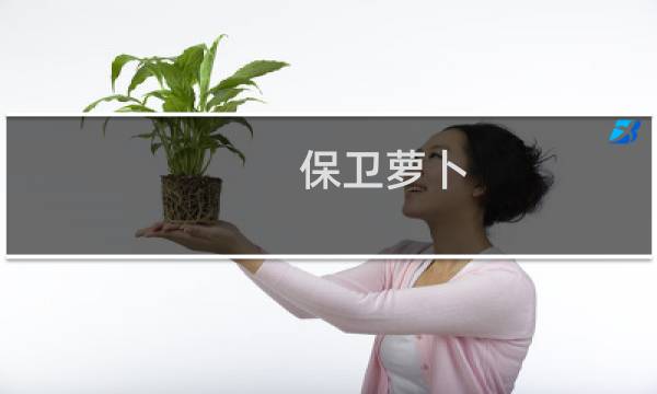 保卫萝卜 40 攻略