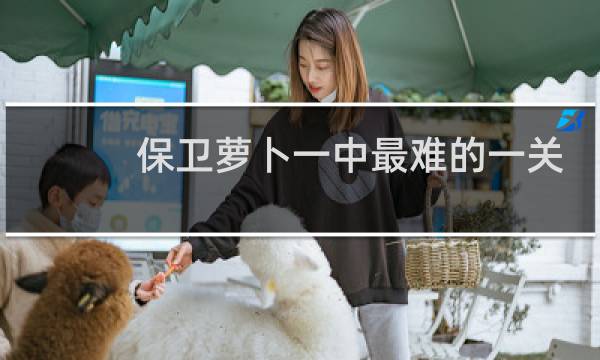 保卫萝卜一中最难的一关