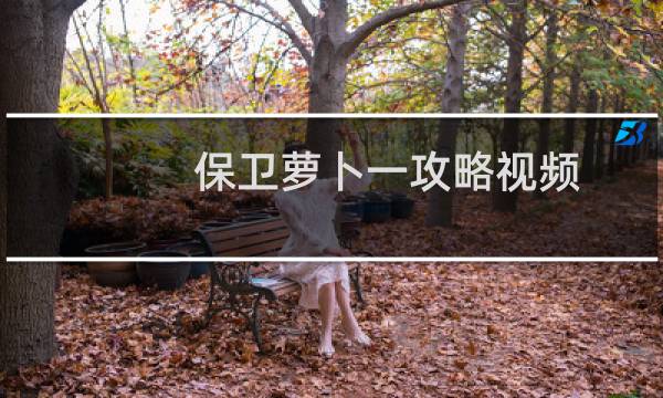 保卫萝卜一攻略视频