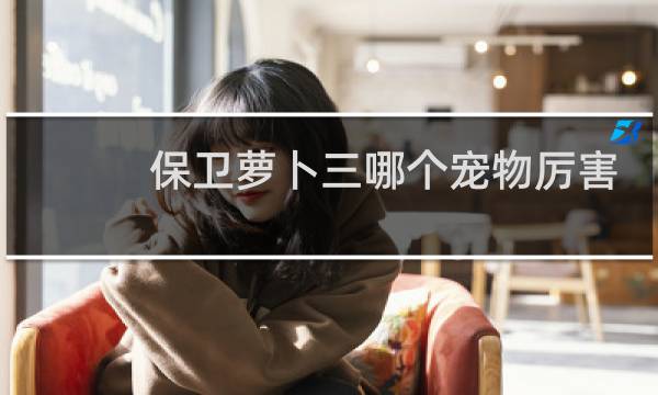 保卫萝卜三哪个宠物厉害