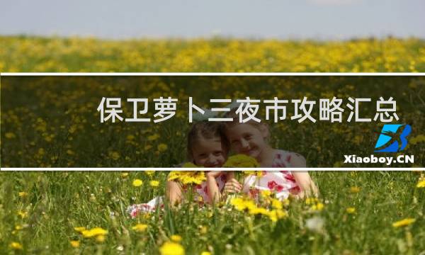 保卫萝卜三夜市攻略汇总