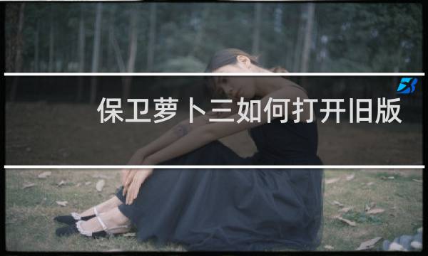 保卫萝卜三如何打开旧版