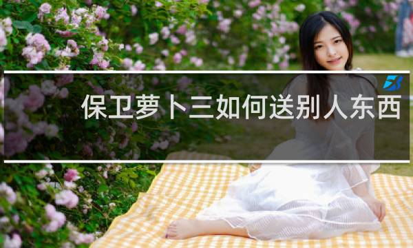 保卫萝卜三如何送别人东西