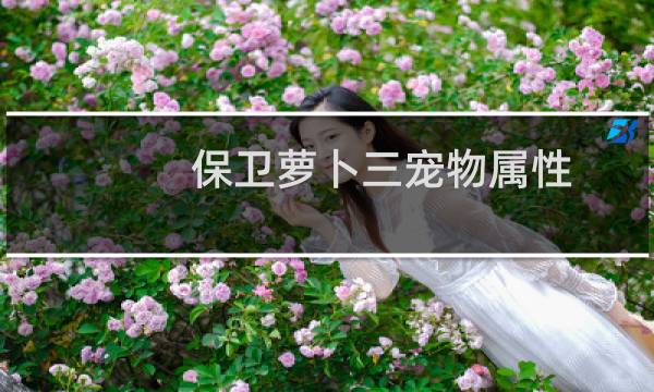 保卫萝卜三宠物属性