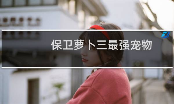 保卫萝卜三最强宠物