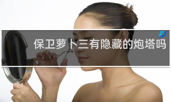 保卫萝卜三有隐藏的炮塔吗