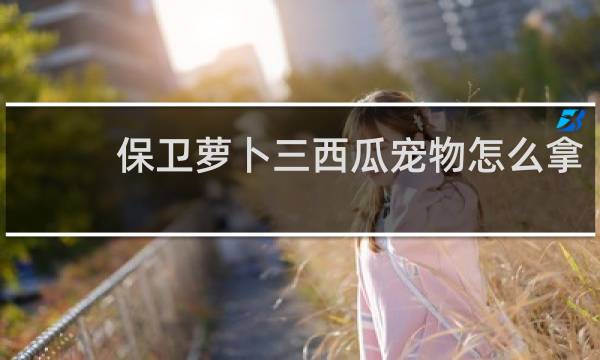 保卫萝卜三西瓜宠物怎么拿