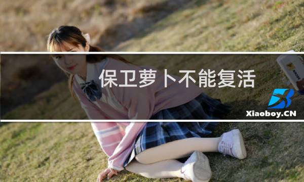 保卫萝卜不能复活