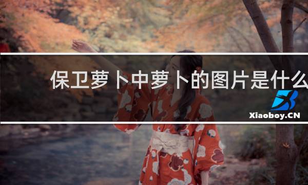 保卫萝卜中萝卜的图片是什么