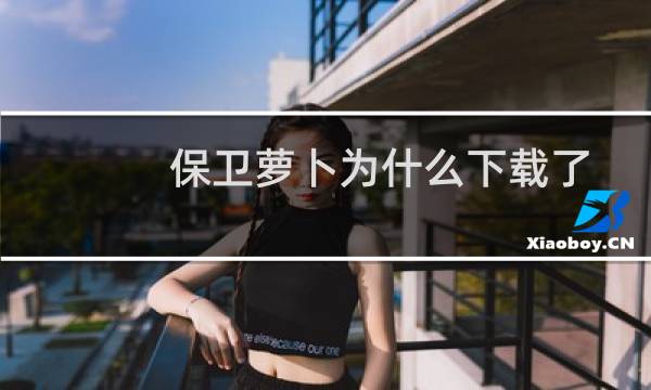 保卫萝卜为什么下载了