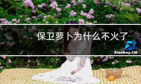 保卫萝卜为什么不火了