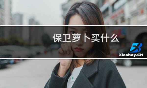 保卫萝卜买什么