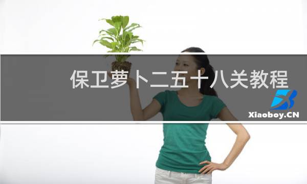 保卫萝卜二五十八关教程