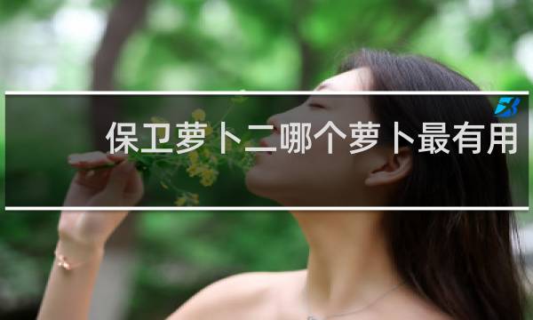 保卫萝卜二哪个萝卜最有用