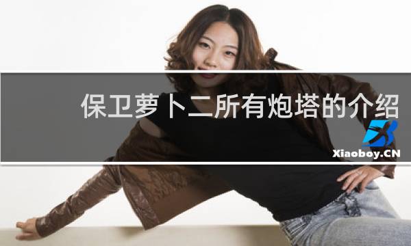 保卫萝卜二所有炮塔的介绍