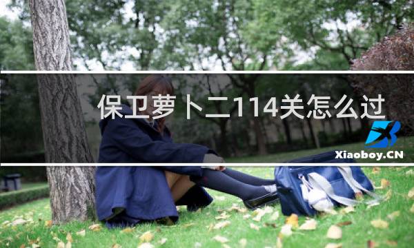保卫萝卜二114关怎么过