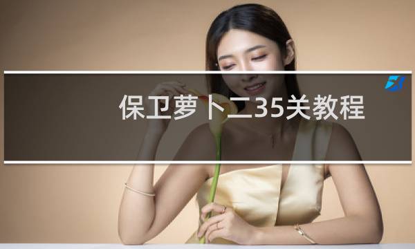 保卫萝卜二35关教程