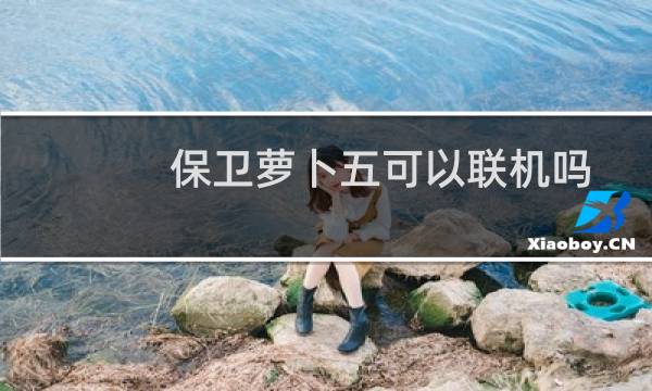 保卫萝卜五可以联机吗