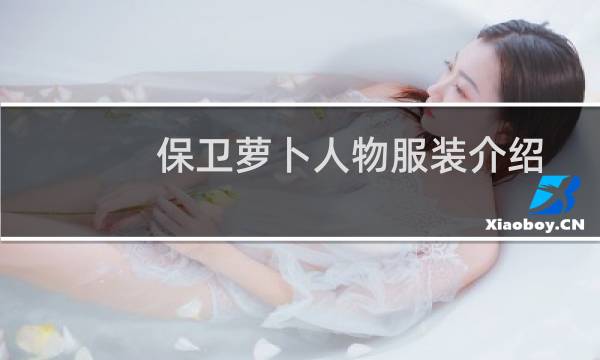 保卫萝卜人物服装介绍
