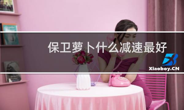 保卫萝卜什么减速最好