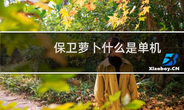 保卫萝卜什么是单机