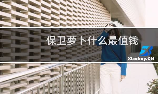 保卫萝卜什么最值钱