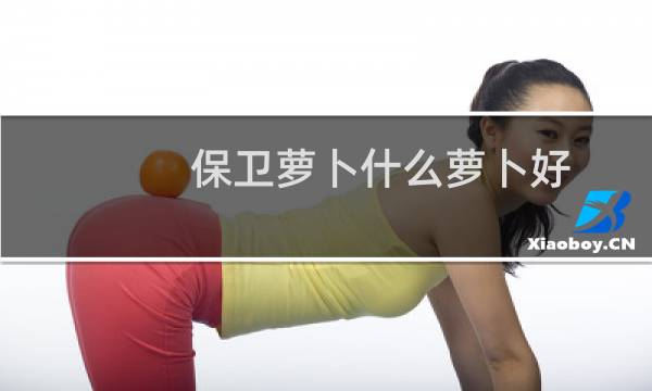 保卫萝卜什么萝卜好
