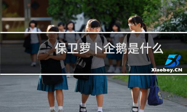 保卫萝卜企鹅是什么