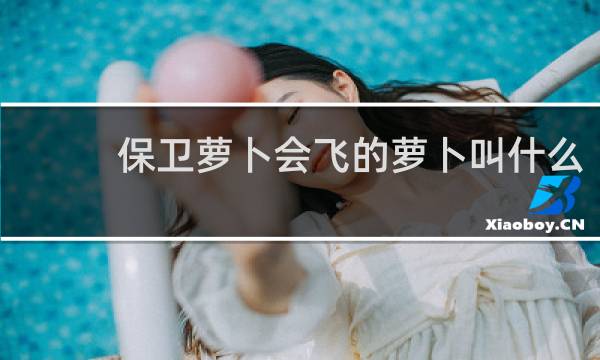 保卫萝卜会飞的萝卜叫什么