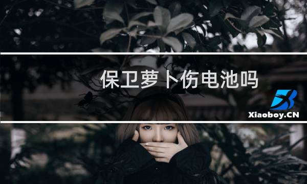 保卫萝卜伤电池吗