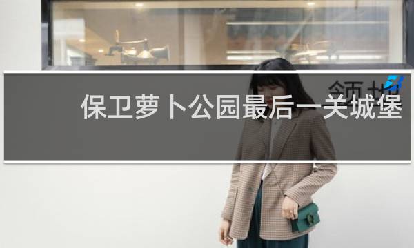 保卫萝卜公园最后一关城堡