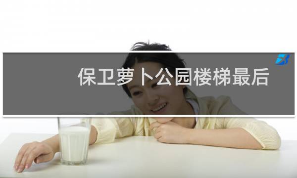保卫萝卜公园楼梯最后