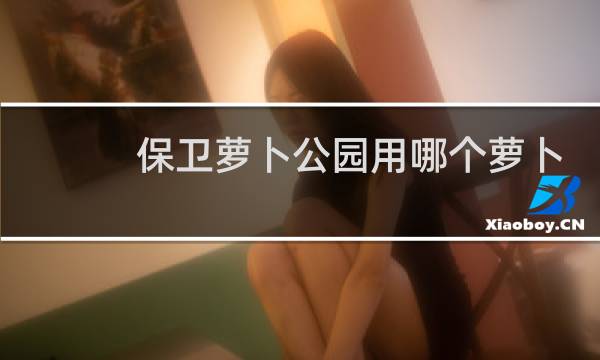 保卫萝卜公园用哪个萝卜