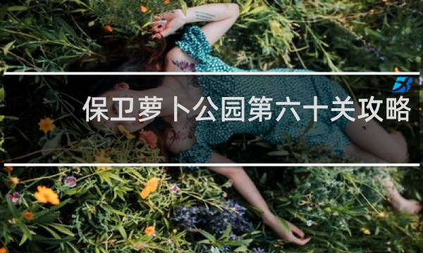 保卫萝卜公园第六十关攻略