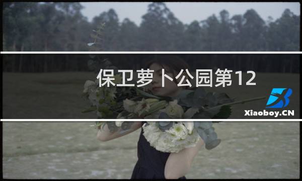 保卫萝卜公园第12