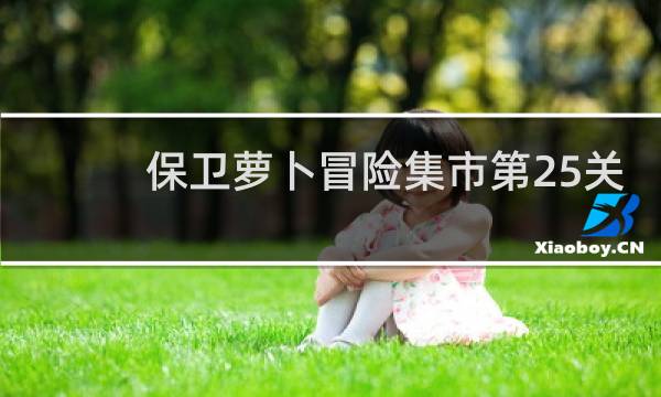 保卫萝卜冒险集市第25关