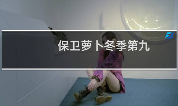 保卫萝卜冬季第九
