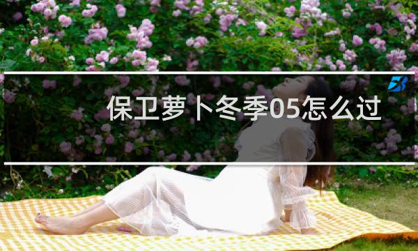 保卫萝卜冬季05怎么过