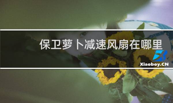 保卫萝卜减速风扇在哪里