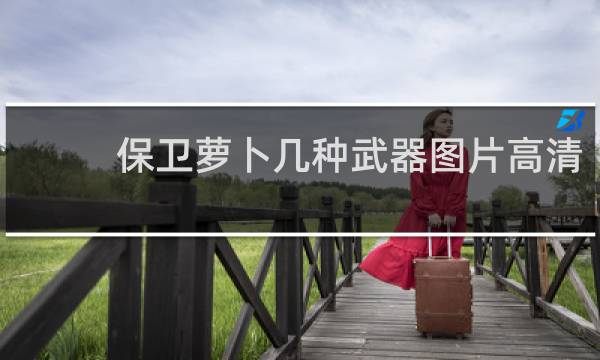 保卫萝卜几种武器图片高清