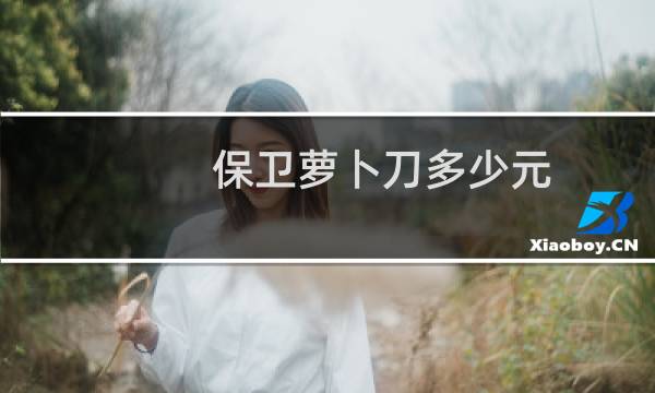 保卫萝卜刀多少元