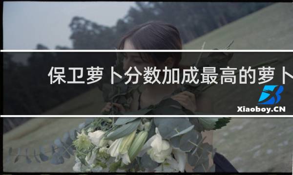 保卫萝卜分数加成最高的萝卜