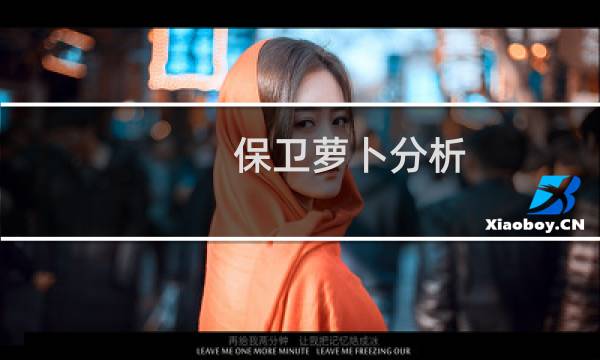 保卫萝卜分析