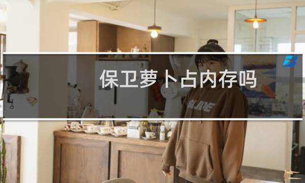 保卫萝卜占内存吗