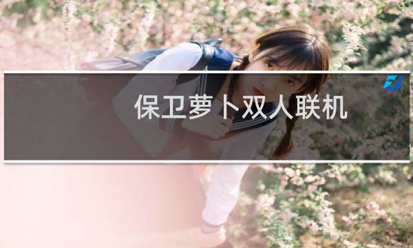 保卫萝卜双人联机
