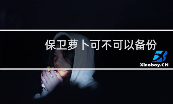 保卫萝卜可不可以备份