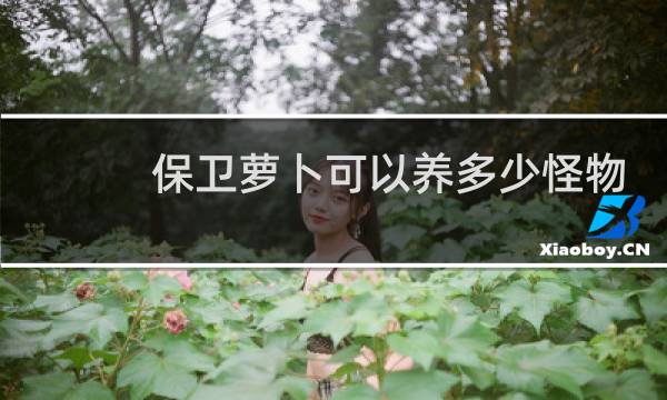 保卫萝卜可以养多少怪物