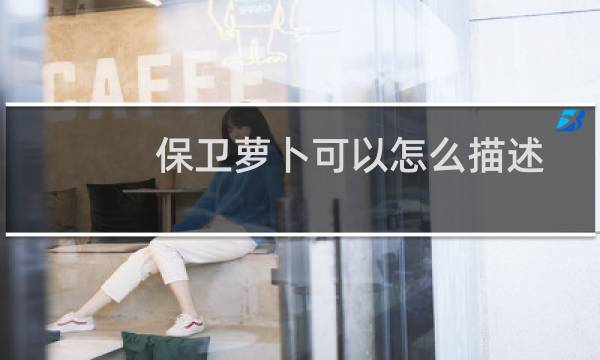 保卫萝卜可以怎么描述