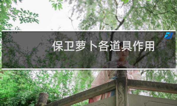 保卫萝卜各道具作用