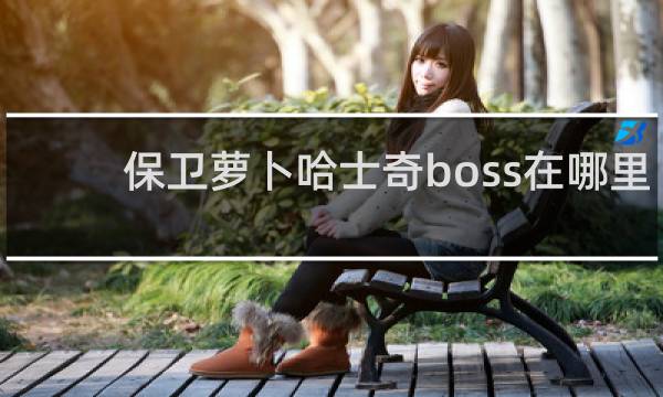 保卫萝卜哈士奇boss在哪里